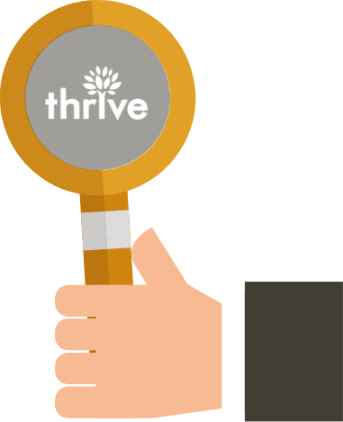 nizam carpet-web design services-thumb