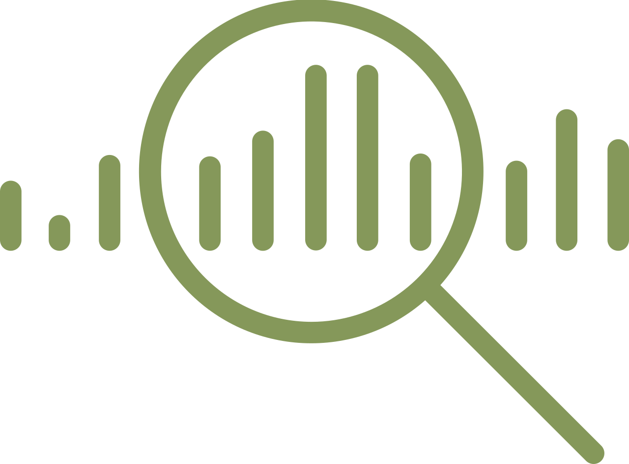 nizam carpet-web design services-searching