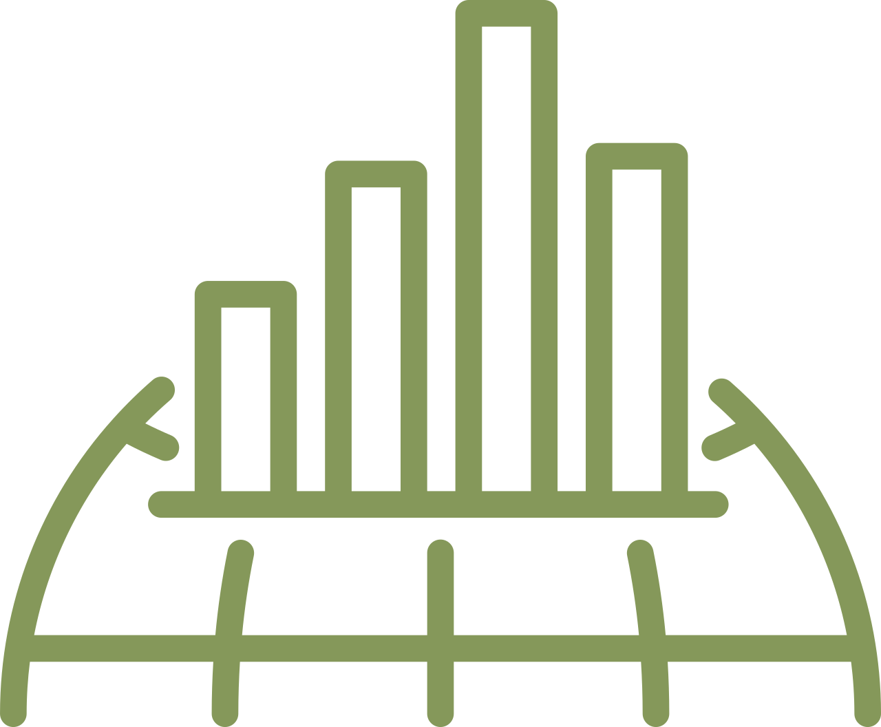 nizam carpet-web design services-analyse